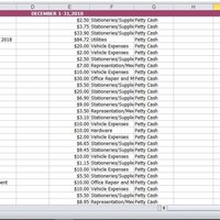 Net Monthly Expenses Report