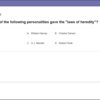 Exam interface