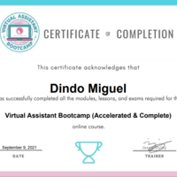 VA Bootcamp Training Certification