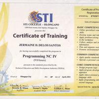 Programming NCIV Certificate