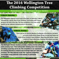 Flyer design