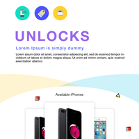 Website Designs
