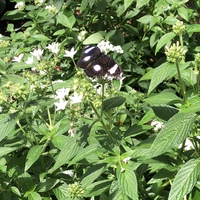 Portfolio Thumbnail 3