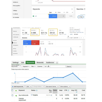 Google Ads Portfolio