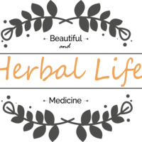 Portfolio Thumbnail 6