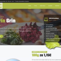 gringrin - WordPress, design, visual identity