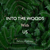 Website Homepage Design