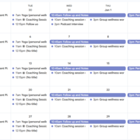 Organized calendars with reminders