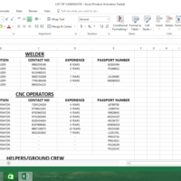 Excel Worksheet