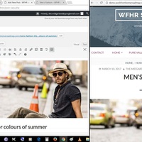 I can manage your website through WordPress