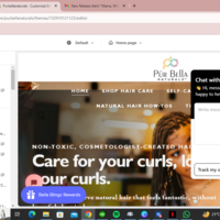 Theme Customization and Designing of Purbellanaturals