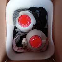 Portfolio Thumbnail 4