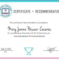 Virtual Assistant Internship