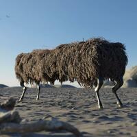 My first 3D. Wild & free forever! 