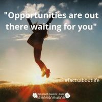 Portfolio Thumbnail 7