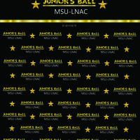 Portfolio Thumbnail 12