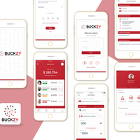 Buckzy - International Payment Gateway