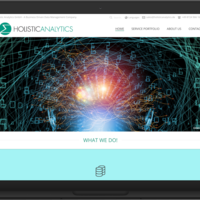 Holistic Analytics