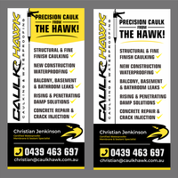 CaulkHawk Flyer 