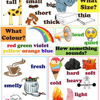 Educational Poster for kids