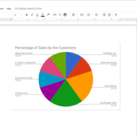 Google Docs using pie,graph and charts