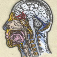 Portfolio Thumbnail 13