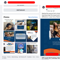 Facebook Management