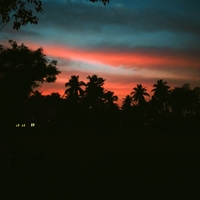 Portfolio Thumbnail 0