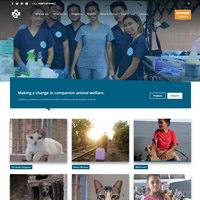 Portfolio Thumbnail 2