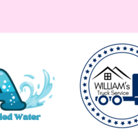 Logo Designs 