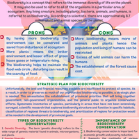 Portfolio Thumbnail 5