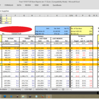 Income Statement Analysis