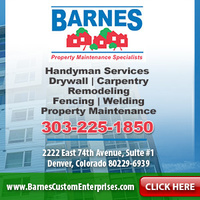 Display Ad