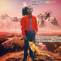 Portfolio Thumbnail 4