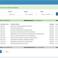 Loan summery view of Micro Finance ERP