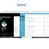 WordPress Management