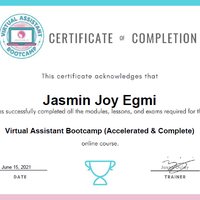 VA Bootcamp Certificate
