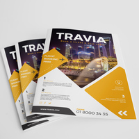 Travel Flyer Design