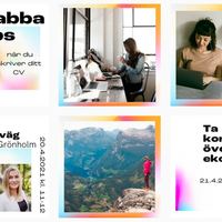 Canva Templates