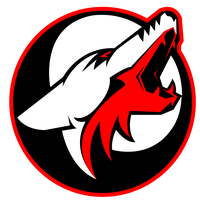 Portfolio Thumbnail 5