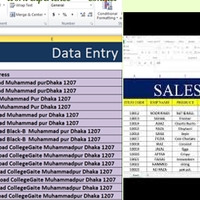 Data Management and Entry For Dickson's Client Database