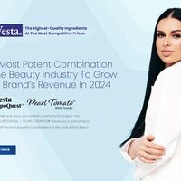 Creative Strategy / Design / Copy