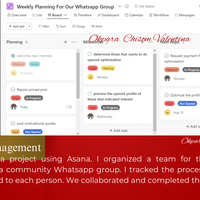 Project management using Asana