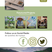 Web Design Mock Up
