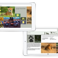 MySafari - iOS/Android Apps for Kruger park