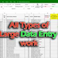 Large Data Entry