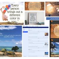 Social Media Management