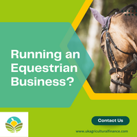 Portfolio Thumbnail 4