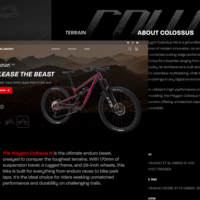 Portfolio Thumbnail 7