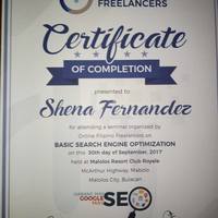 Basic SEO Certification